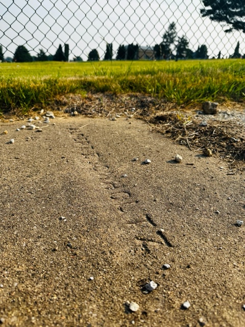 Uncovering the Forgotten: A Reflection on Preserving the&nbsp;Past